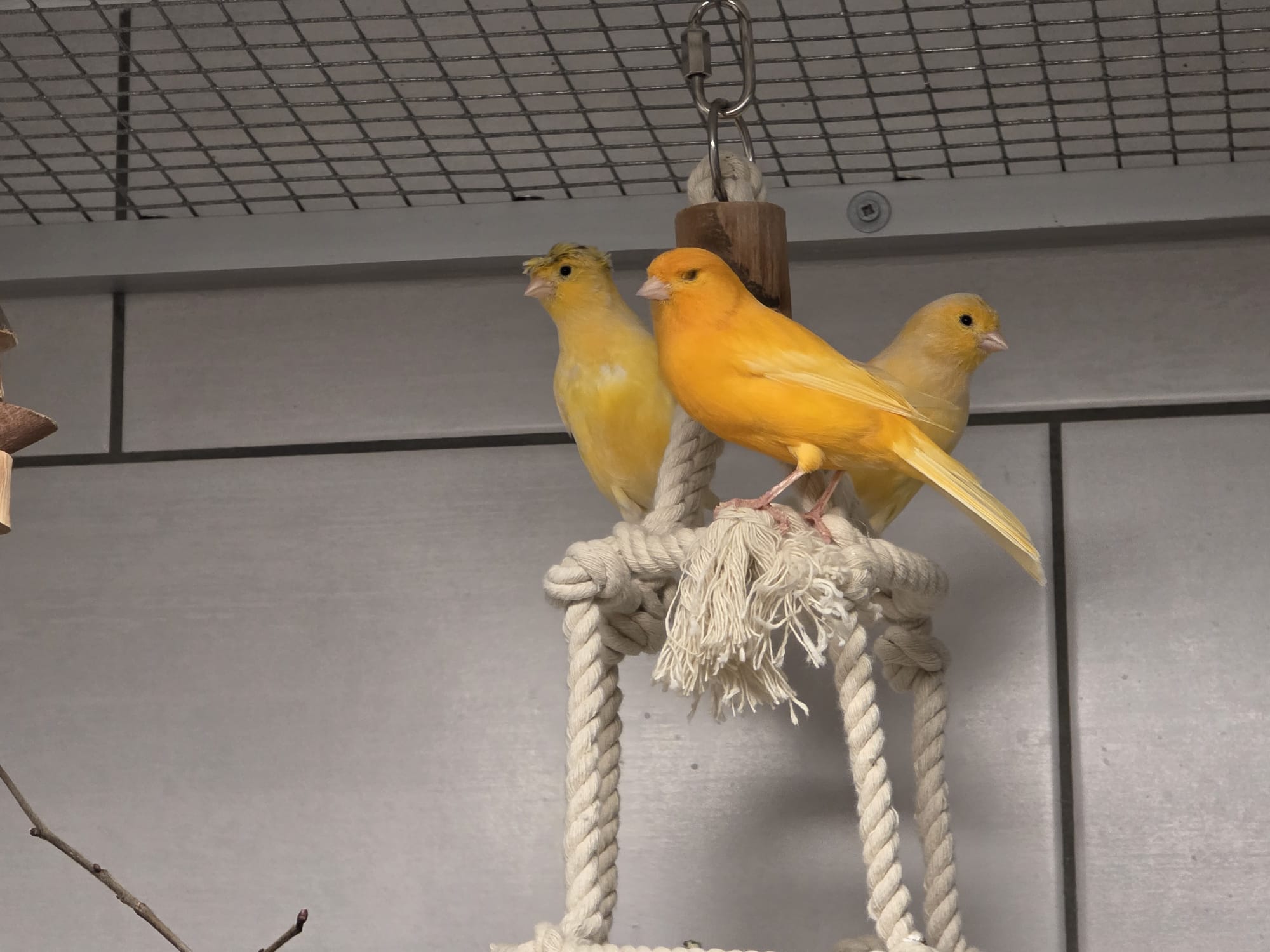 WhatsApp Image 2025-12-10 at 16.06.12.jpeg